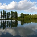 P1130279