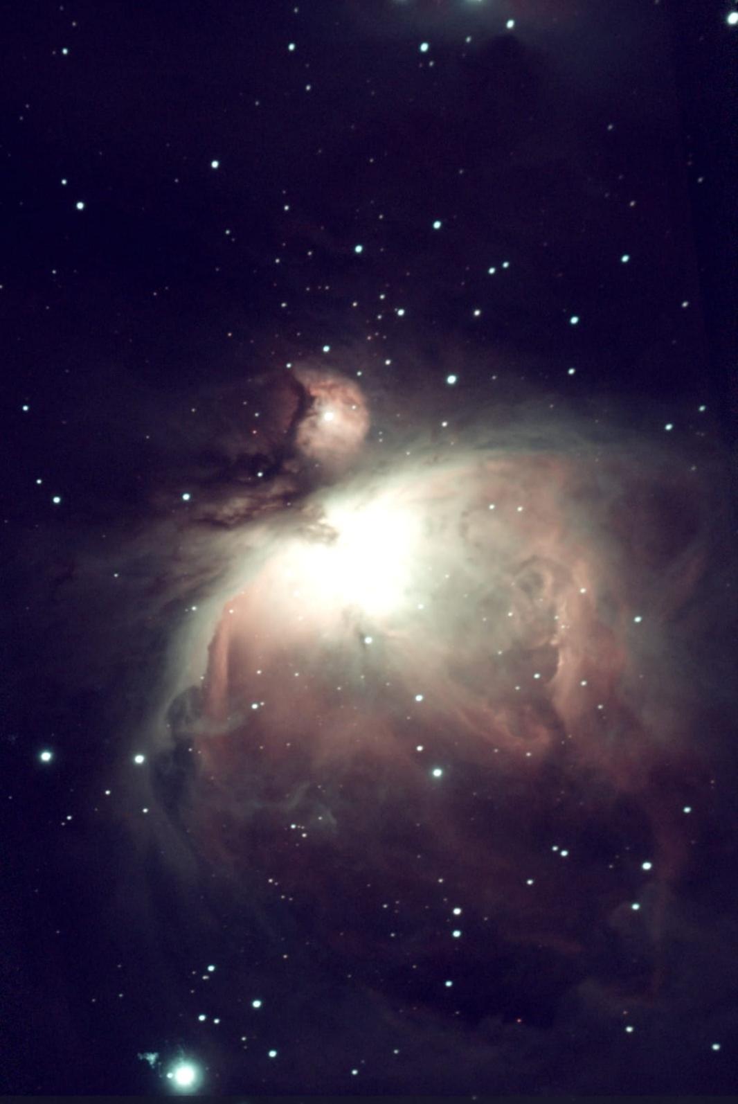 Orion